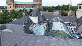 Das Historische Museum der Pfalz in Speyer hat ein neues Dach