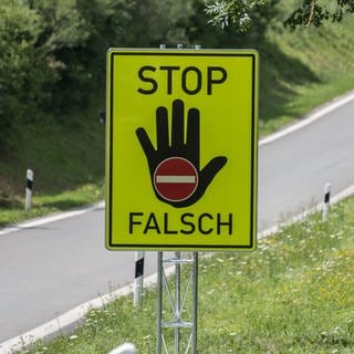 Auf der B9 musste die Polizei im Rhein-Pfalz-Kreis einen Geisterfahrer festsetzen