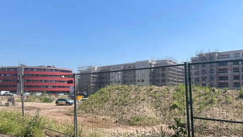 Baustelle auf dem ehemaligen Halberg-Gelände in Ludwigshafen für das Ludwigs-Quartier am Rheinufer Süd (Bildquelle: SWR)