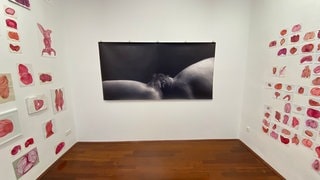 Vulva Ausstellung in Ludwigshafen