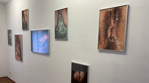 Vulva Ausstellung in Ludwigshafen