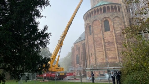 Am Dom in Speyer wird ein großes Gerüst aufgestellt für die Sanierung der beiden Osttürme. Ein großer Teleskopkran aus Neuwied hebt die Teile in die Höhe.