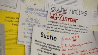 Schwarzes Brett: In Landau hat man gute Chancen auf ein WG-Zimmer?