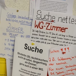 Schwarzes Brett: In Landau hat man gute Chancen auf ein WG-Zimmer?