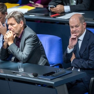 Bundeskanzler Olaf Scholz (SPD), Wirtschaftsminister Robert Habeck (Grüne) und Finanzminister Christian Linder (FDP) grübelnd im Bundestag: Die Ampel-Koalition ist zerbrochen - so reagieren Politikerinnen und Politiker aus der Pfalz