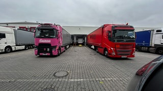 Spedition in der Pfalz in Bobenheim-Roxheim mit Lkw an der Laderampe - eine Rampe ist leer. Speditionen finden keinen Nachwuchs für Lkw-Fahrer in Rente