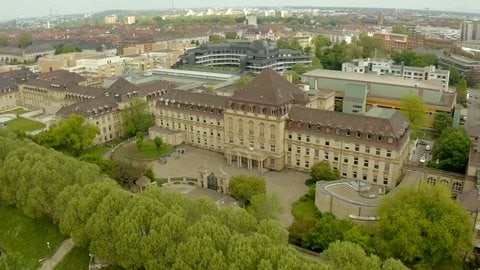 Universitätsmedizin Mannheim (UMM)