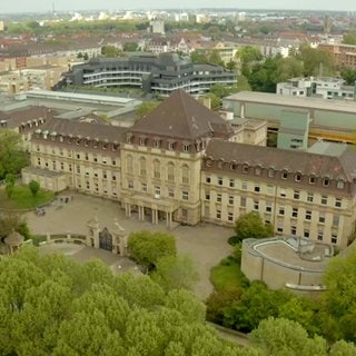 Universitätsmedizin Mannheim (UMM)