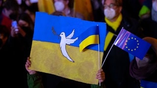 Schilder mit einer Friedenstaube und der Flagge der Ukraine in die Höhe. Symbolbild dafür, dass die Spendenbereitschaft für die Ukraine in der Pfalz zurückgeht.