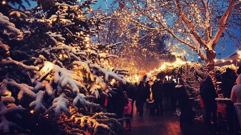 Der Weihnachtsmarkt am Marktplatz in Haßloch