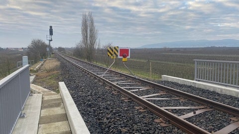 Ein rotes Schild zeigt die Sperrung eines Bahngleises zwischen Freinsheim und Bad Dürkheim. Die Bahnstecke war fast ein Jahr lang wegen der Sanierung des Bahndamms gesperrt, weil Dachse dort ihre Höhlen gebaut hatten.