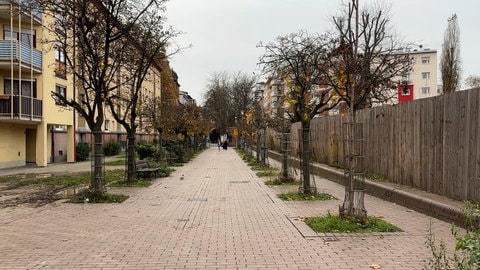 Fußgängerweg in einem Wohngebiet in Ludwigshafen.