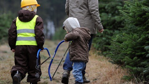 Zwei Kinder machen sich in einer Weihnachtsbaumplantage auf den Weg, ihren Weihnachtsbaum selber zu schlagen (Symbolbild).