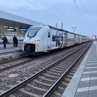 Während der Sperrung der Riedbahn in Südhessen sind täglich dutzende ICEs und Güterzüge durch die Vorderpfalz und Rheinhessen umgeleitet worden. Der Nahverkehr zwischen Ludwigshafen und Mainz war deshalb eingeschränkt. Nur alle 30 Minuten kam eine Regionalbahn. Platz für die Fahrgäste gab es genug: Drei S-Bahn-Züge fuhren zusammengekoppelt, hier in Frankenthal.