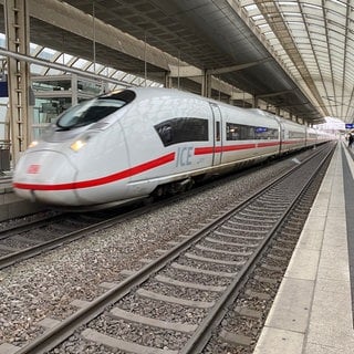 Während der Sperrung der Riedbahn in Südhessen sind täglich dutzende ICEs und Güterzüge durch die Vorderpfalz und Rheinhessen umgeleitet worden. Der ICE 371 von Hamburg nach Interlaken (Schweiz) fährt durch den Haltepunkt "Ludwigshafen-Mitte".