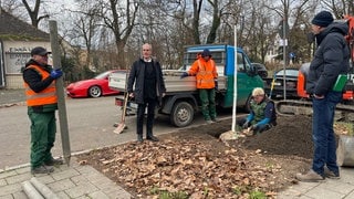 Bäume pflanzen in Ludwigshafen