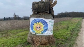 Geplantes Neubaugebiet in Ludwigshafen Rheingönheim "Im Kappes" 