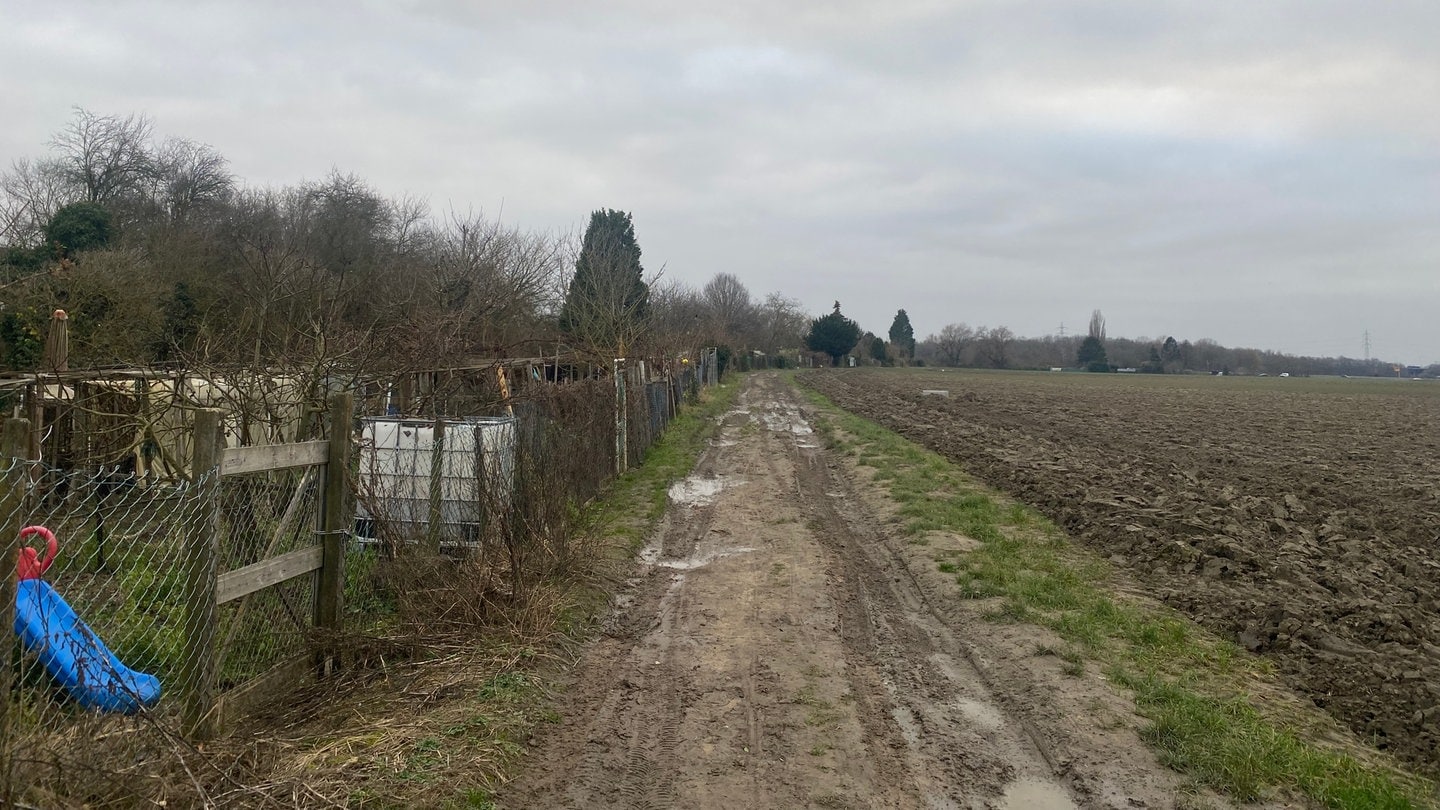 Geplantes Neubaugebiet in Ludwigshafen Rheingönheim 