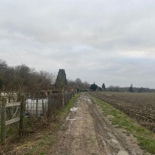 Geplantes Neubaugebiet in Ludwigshafen Rheingönheim "Im Kappes" 