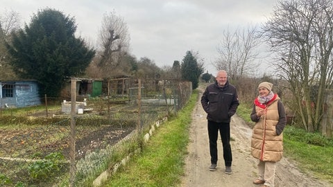 Vertreter der Bürgerinitiave Rheingönheim stehen auf einem Feldweg neben Kleingärten und Ackerfläche. Sie sind dagegen, dass hier ein Neubaugebiet entsteht.