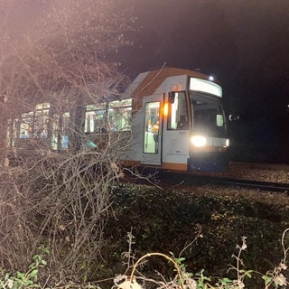 Schon wieder Entgleisung in Ludwigshafen-Ruchheim: Auf der Rhein-Haardtbahn-Strecke ist erneut eine Straßenbahn aus den Schienen gesprungen. Und zwar an genau derselben Stelle wie am Vortag. Die Unglücksursache ist unklar.