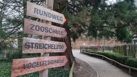 Wegweiser im Zoo Landau. 2025 steigen die Eintrittspreise.