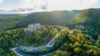 Panoramatour Pfalz