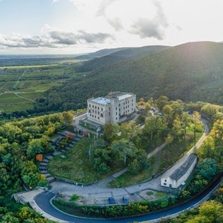 Panoramatour Pfalz