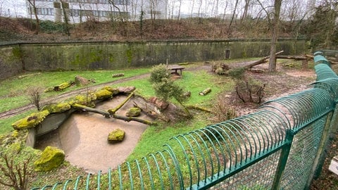 So sieht das Tiger-Gehege im Landauer Zoo aus. Hier lebt die nun die Sibirische Tigerin Daria. Das Gehege ist circa 7.000 Quadratmeter groß.