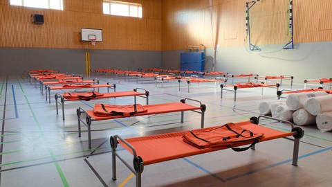 Die Turnhalle des Sebastian-Münster-Gymnasiums in Ingelheim wird zur Notunterkunft für ukrainische Flüchtlinge