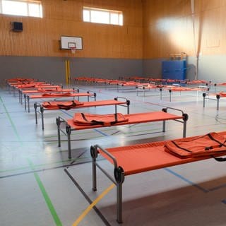 Die Turnhalle des Sebastian-Münster-Gymnasiums in Ingelheim wird zur Notunterkunft für ukrainische Flüchtlinge