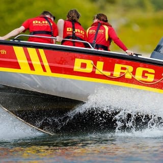 In diesem Jahr gab es im Rhein in Rheinhessen weniger Badeunfälle - dennoch hatte die DLRG viele Einsätze.