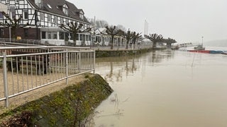 Überflutete Promenade in Worms