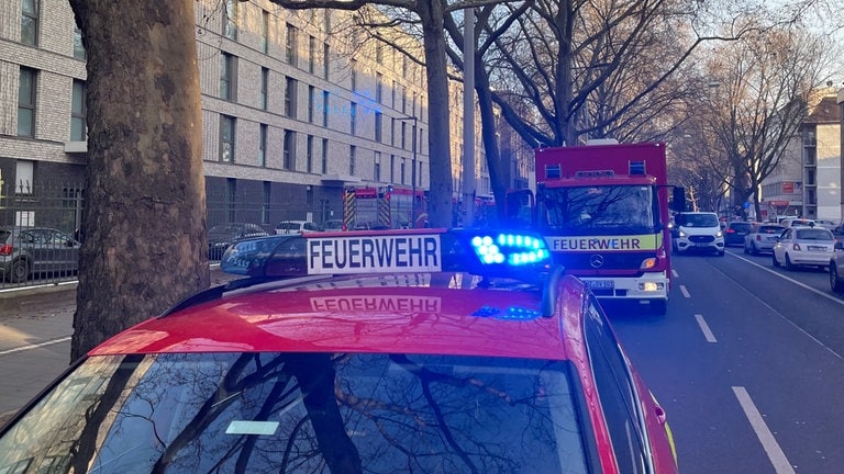 Brand Im Mainzer Zollhafen Gelöscht - SWR Aktuell