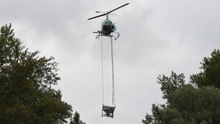 Ein Hubschrauber der KABS bekämpft von dere Luft aus Schnaken