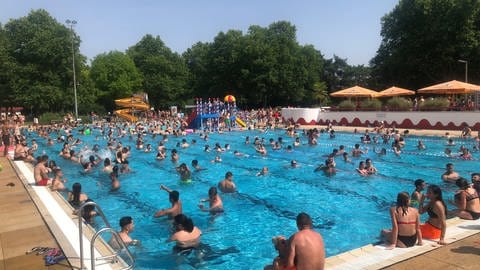 In den Schwimmbecken im Freibad in Mainz-Mombach ist bei der Hitze sehr viel los