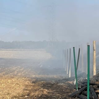 Feuerwehr löscht Brand einer Kompostanlage in Worms