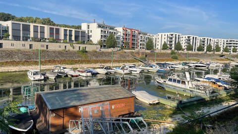 Viele kleinere Sportboote liegen an Anlegeplätzen im Mainzer Winterhafen, dazwischen viele grüne Algenteppiche