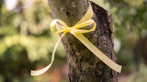 Das gelbe Band an einem Baumstamm soll darauf aufmerksam machen, dass das Obst von allen gepflückt und verspeist werden darf.