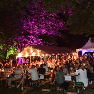 Auf dem Weinmarkt im Mainzer Stadtpark ist es abends besonders schön. Dann kann man unter Lichterketten rheinhessische Weine probieren.