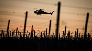 Ein Hubschrauber konnte den Mann nach dem Unfall in den Weinbergen bei Weinsheim entdecken. 