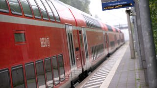 Fünf Regionalzüge und die S8 sollen künftig am neuen Bahnhof Mainz-Schott halten. 
