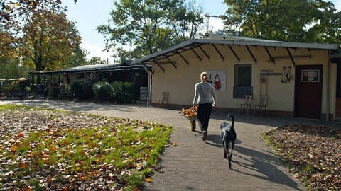 Das Tierheim Ingelheim ist in Not. Es braucht dringend mehr Geld von der Verbandsgemeinde Gau-Algesheim.