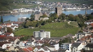 Blick über die Stadt Bingen 