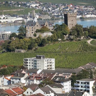 Blick über die Stadt Bingen 