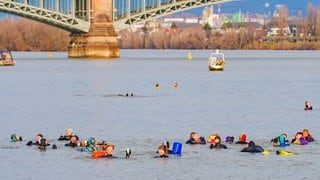 Abschwimmen an Silvester im Rhein bei Mainz