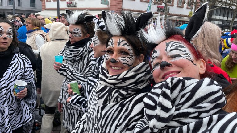 Zebras auf dem Mainzer Schillerplatz