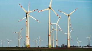 Zahlreiche Windräder stehen auf den Hügeln zwischen den Äckern im Landkreis Alzey-Worms.