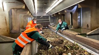 Immer häufiger finden die Mitarbeitenden des Abfallwirtschaftsbetriebes in Bad Kreuznach Plastiktüten und andere Kunststoffe im Biomüll.