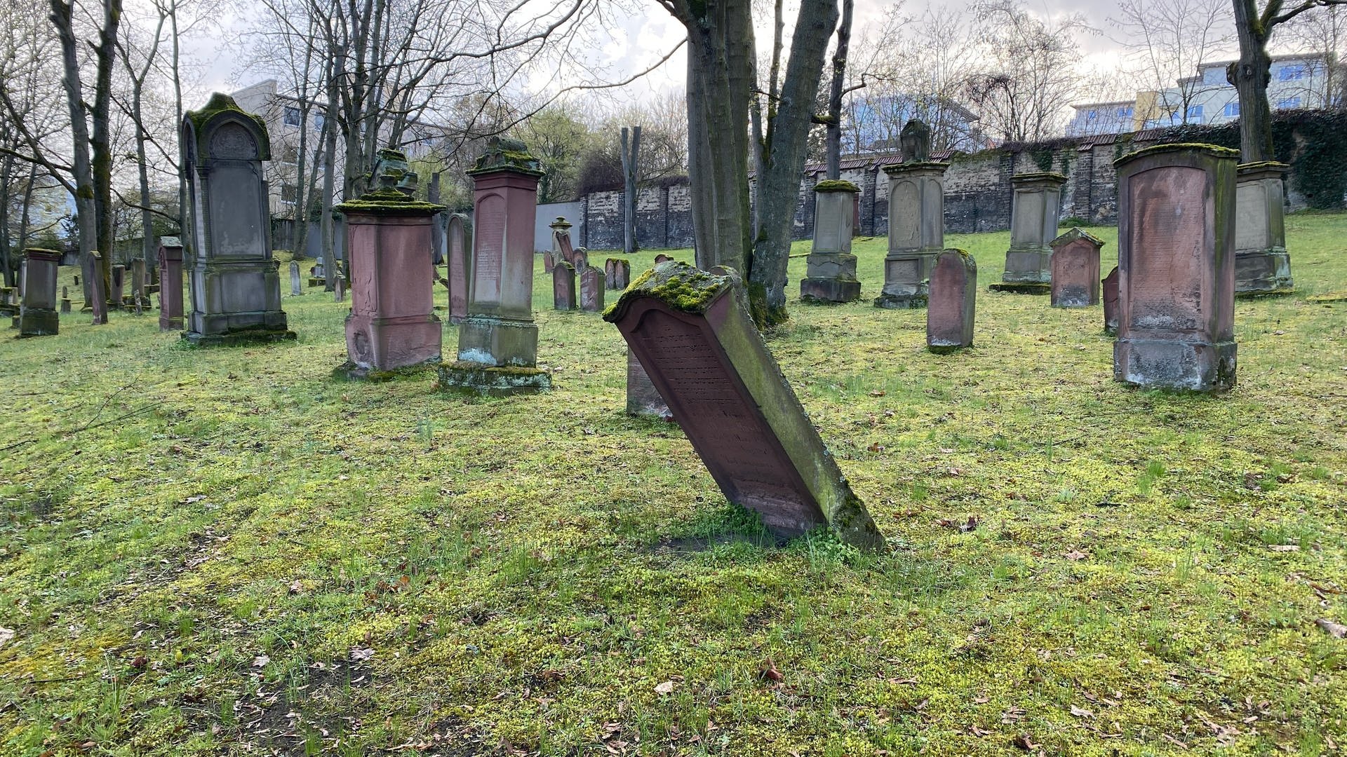 Weltkriegsbombe am Jüdischen Friedhof in Mainz gefunden